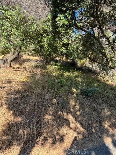 Clearlake Oaks, CA 95423,12588 Widgeon Way