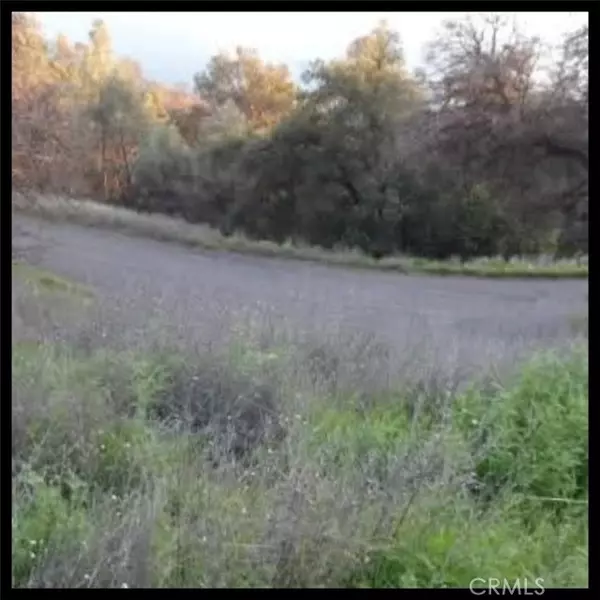 Clearlake Oaks, CA 95423,11860 Lakeview Drive