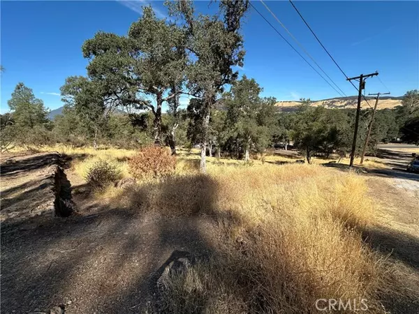 Clearlake, CA 95422,3503 Filmore Avenue