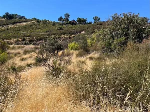 Kelseyville, CA 95451,5633 Maya Road