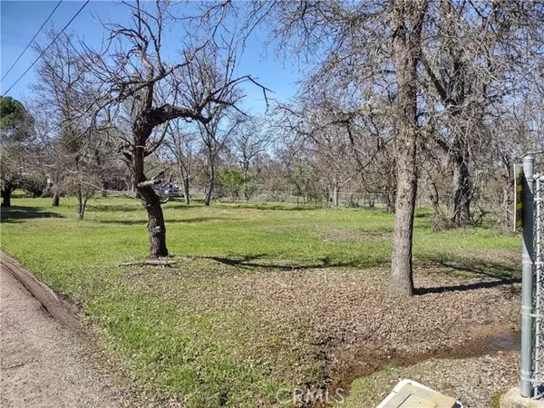 4599 S Terrace Avenue, Lakeport, CA 95453