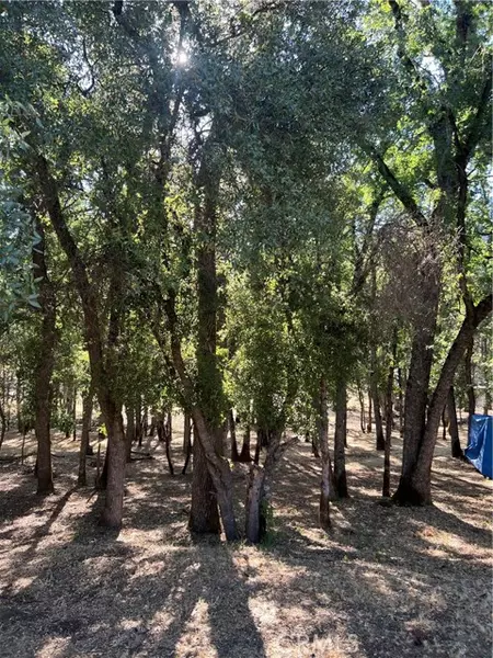 5723 Inca Way, Kelseyville, CA 95451