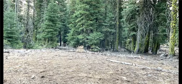 0 California Pines Blvd, Alturas, CA 96101