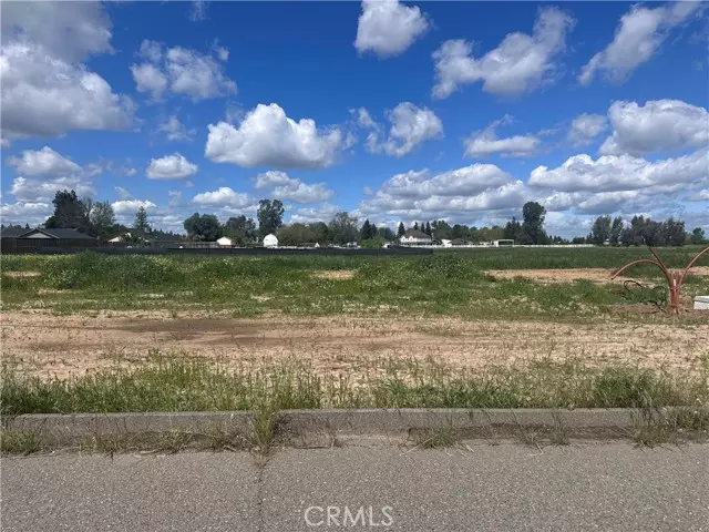 Atwater, CA 95301,1 White Crane