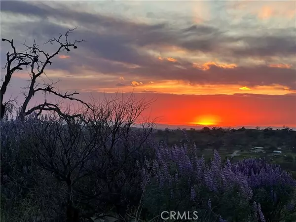 Raymond, CA 93653,0 Spinecup Ridge