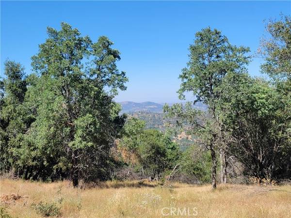 5587 Alta Vista Road, Mariposa, CA 95338