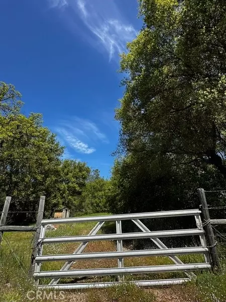 4658 Little Bear Road, Mariposa, CA 95338