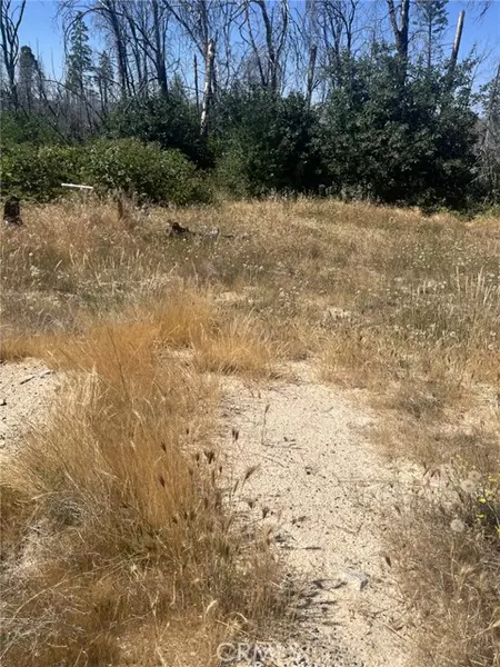 130 Simpson Ranch Road, Berry Creek, CA 95916
