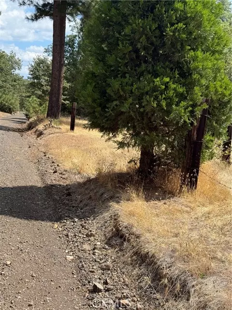 Coulterville, CA 95311,6479 Pine Drive