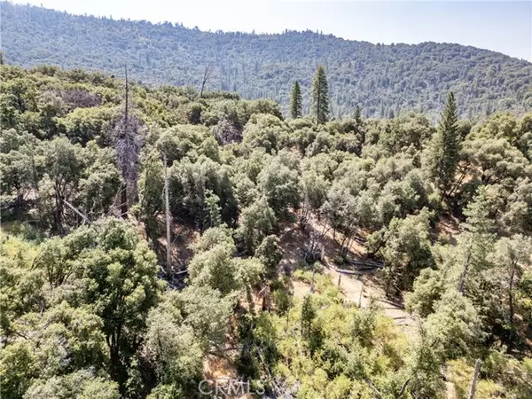 Mariposa, CA 95338,5 AC Parker Drive