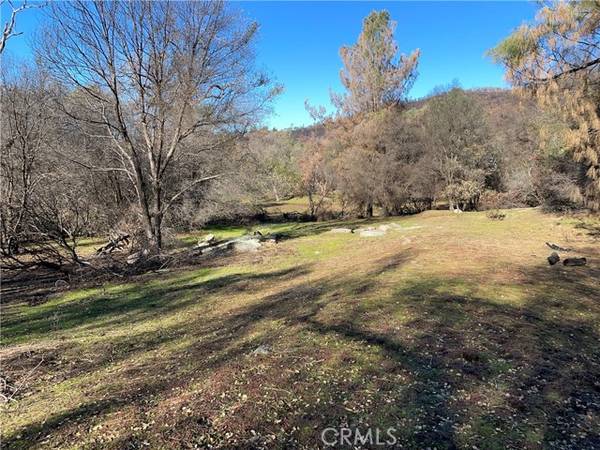 705 Triangle Road, Mariposa, CA 95338