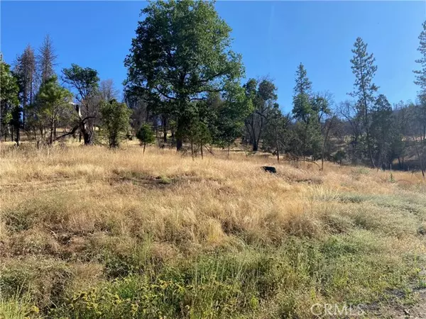 3154 Wild Dove Lane, Mariposa, CA 95338