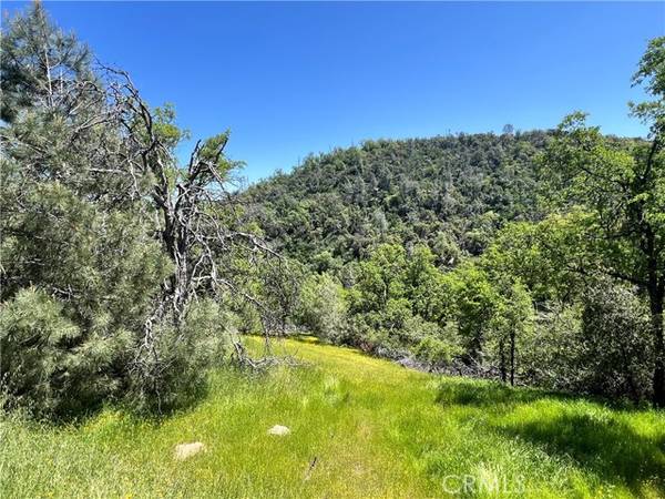 0 Lakeside Drive, Mariposa, CA 95338