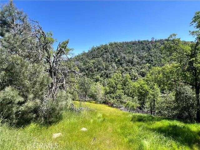 0 Lakeside Drive, Mariposa, CA 95338