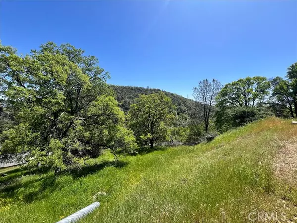 Mariposa, CA 95338,0 Lakeside Drive