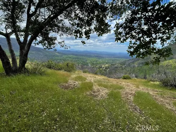 Mariposa, CA 95338,4585 Buckingham Mountain Road