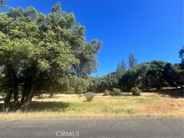 Mariposa, CA 95338,6065 Monte Vista Lane