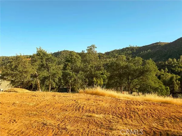 Mariposa, CA 95338,0 Terrace View