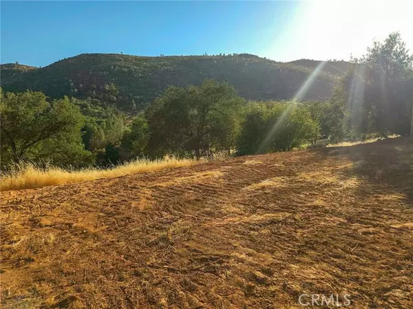 Mariposa, CA 95338,0 Terrace View