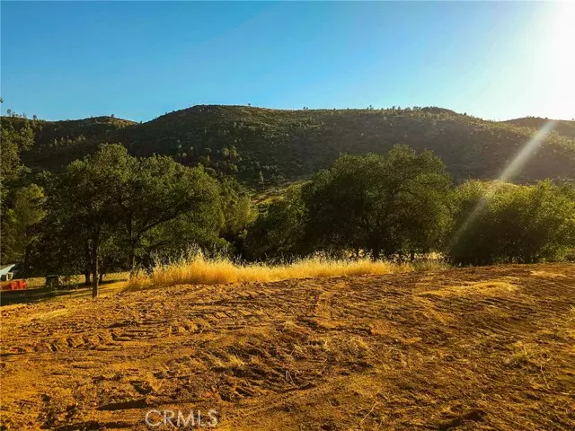 Mariposa, CA 95338,0 Terrace View