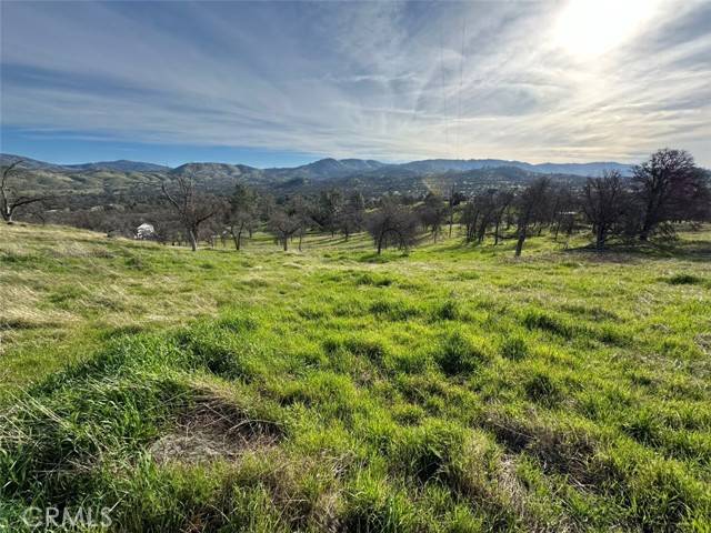 Catheys Valley, CA 95306,3228 Wild Rose Court