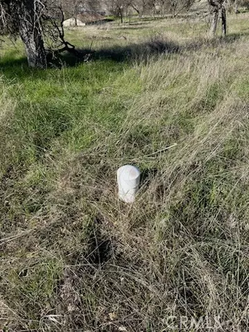 Catheys Valley, CA 95306,5 El Toro Road