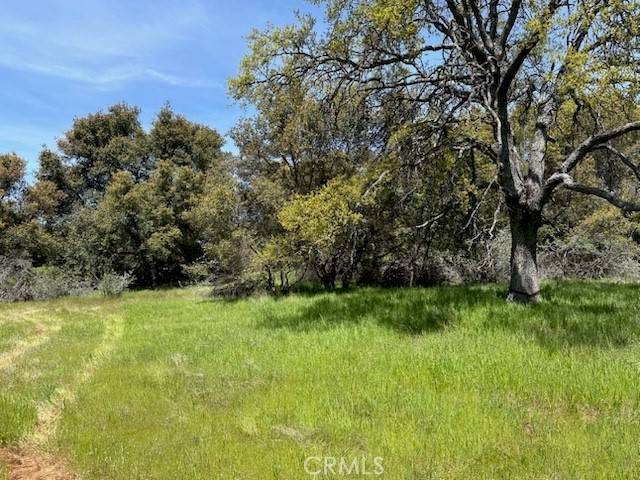 Mariposa, CA 95338,0 Highway 49 N