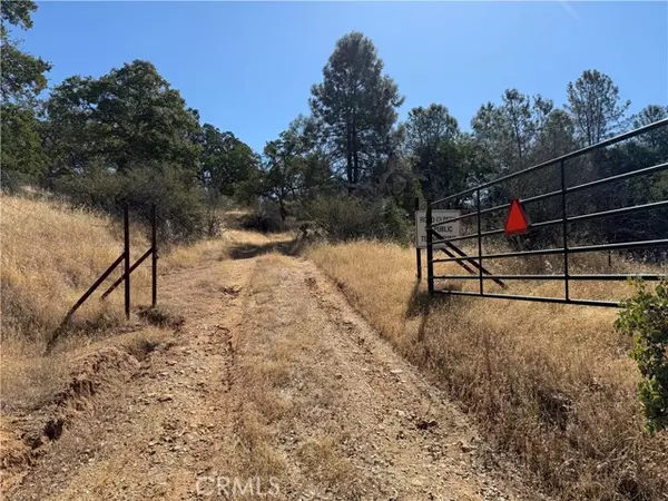 20 Bull Pine, Mariposa, CA 95338
