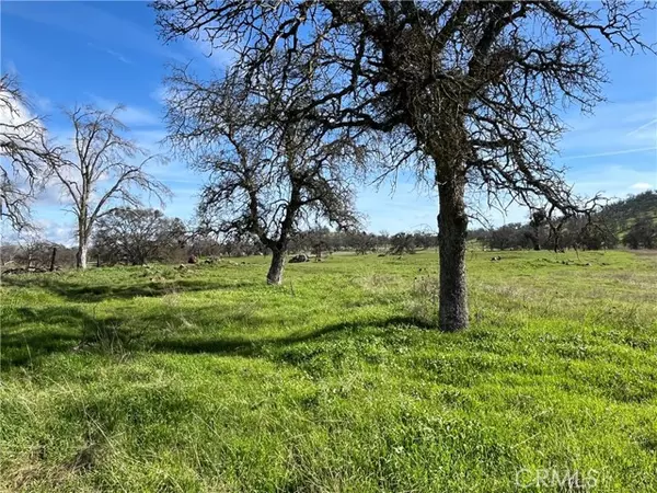 Catheys Valley, CA 95306,2463 Old Highway