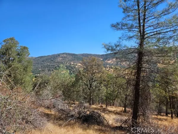 Mariposa, CA 95338,5640 Blue Oak Ridge Road