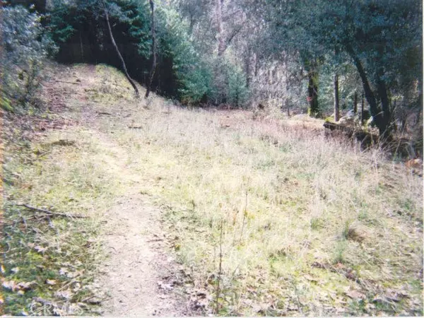 Mariposa, CA 95338,5699 Creel