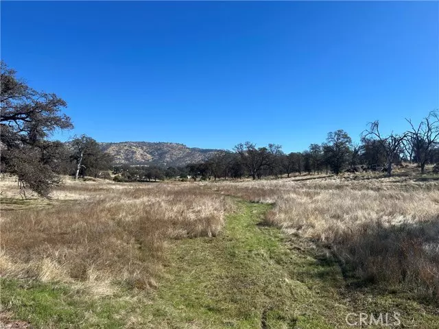 5 Tinkers Penny Ln, Catheys Valley, CA 95306
