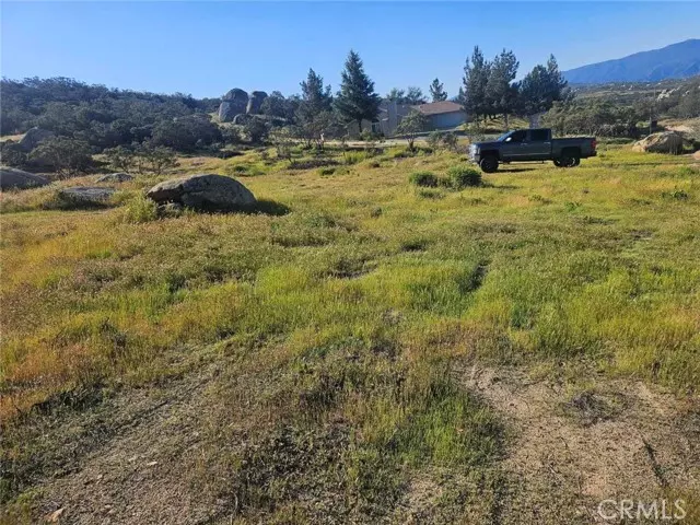 Aguanga, CA 92536,0 Saddleback