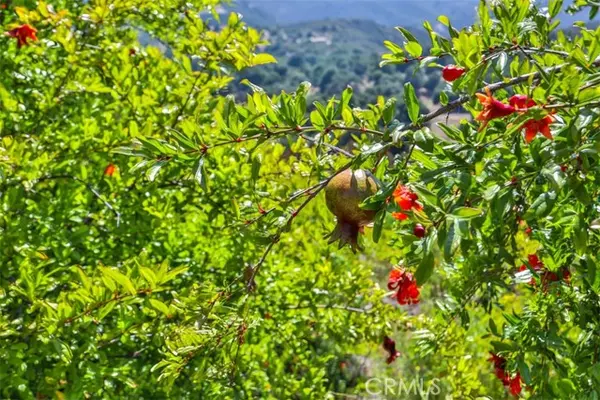 Murrieta, CA 92562,0 Via Herradura