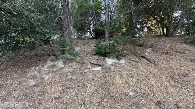 0 Mid Lane, Twin Peaks, CA 92391