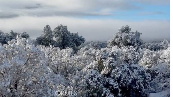 Warner Springs, CA 92086,29820 Chihuahua Valley Road