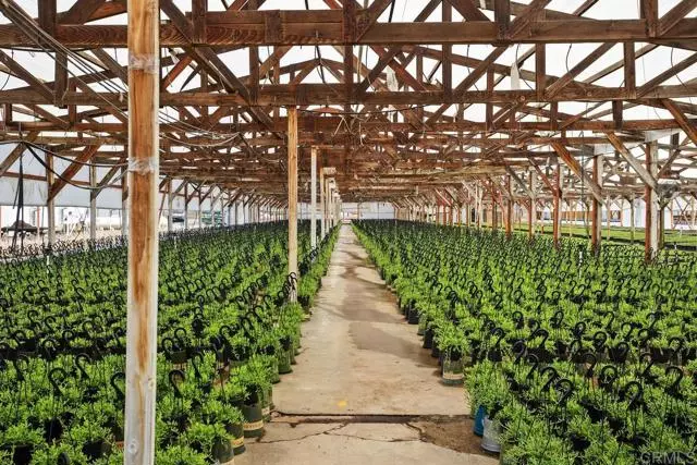 Cassou Road, San Marcos, CA 92069