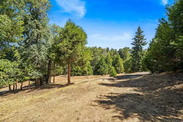 22520 Greenfield, Palomar Mountain, CA 92060