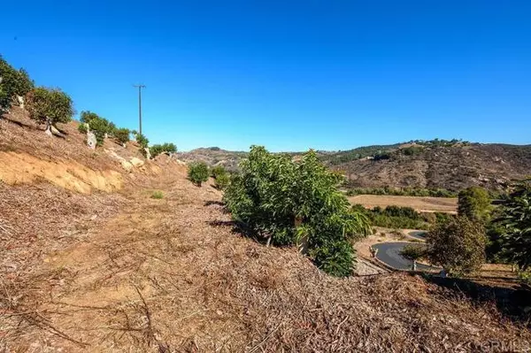 30580 Luis Rey Heights Rd, Bonsall, CA 92003