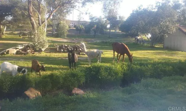 Fallbrook, CA 92028,6490 Rainbow Heights Road