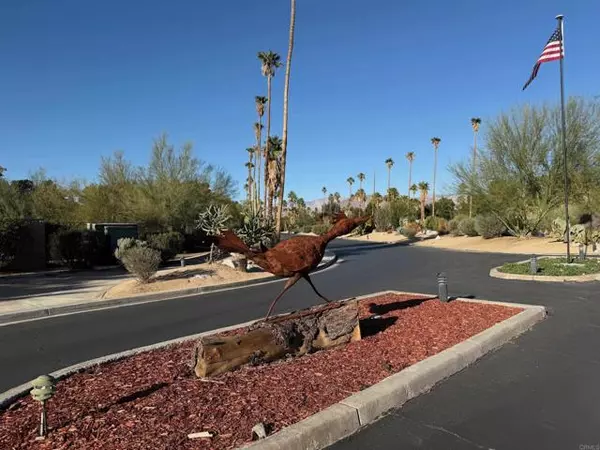 Borrego Springs, CA 90224,1010 Palm Canyon Drive #264