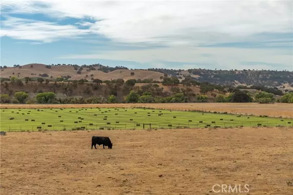 Paso Robles, CA 93446,13625 Ea Hwy 46