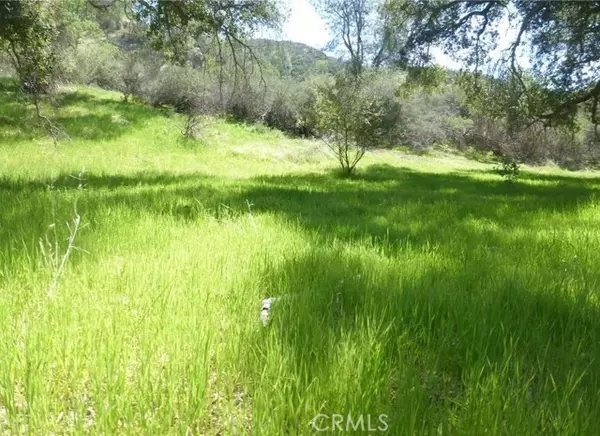 0 0 Vineyard Canyon Parcel 29, San Miguel, CA 93451