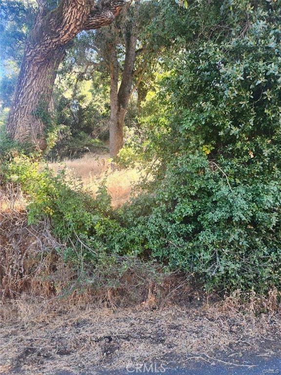 Somerset, CA 95684,5555 Vacation Boulevard