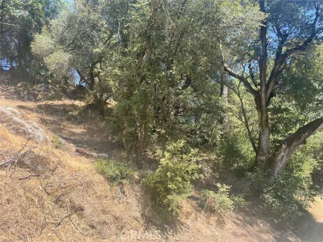 Somerset, CA 95684,5555 Vacation Boulevard