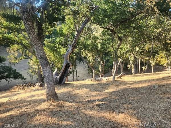 2263 Lariat Loop, Bradley, CA 93426