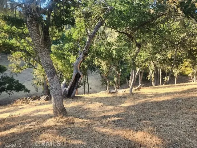 2263 Lariat Loop, Bradley, CA 93426