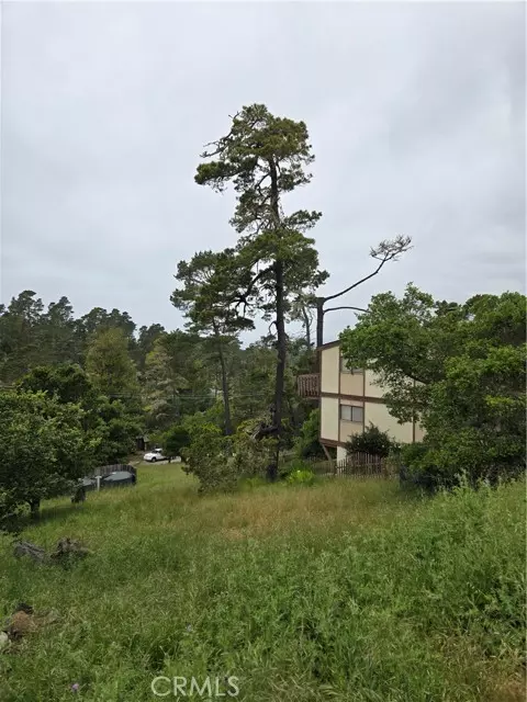 Cambria, CA 93428,0 Pierce Avenue