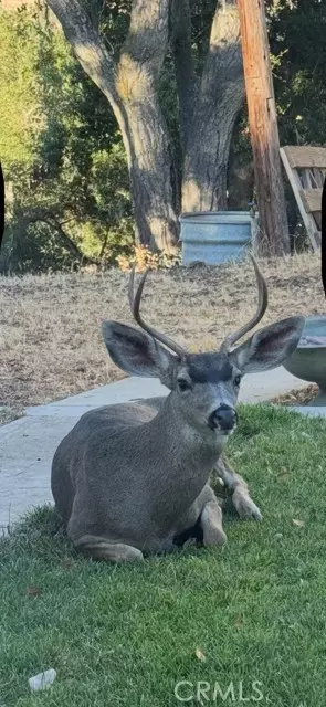 Atascadero, CA 93422,1000 Garcia Road