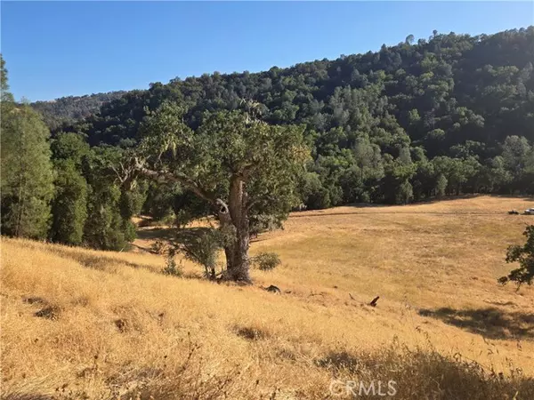 Paso Robles, CA 93446,0 Gallegos Ranch Road